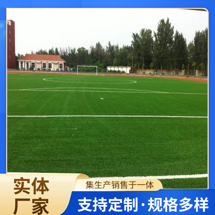 商洛市橡胶跑道人造草坪 - 推荐